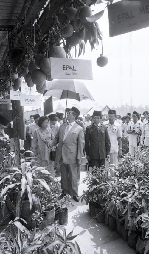 TG12_13012015_SULTAN_KETENGAH
