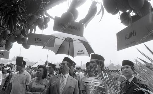 TG13_13012015_SULTAN_KETENGAH