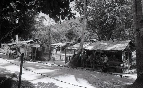 PULAU BIDONG