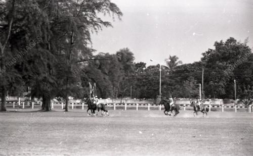 SULTAN MAHMUD