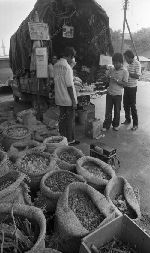 TG15_13012015_PERUBATAN_TRADISIONAL