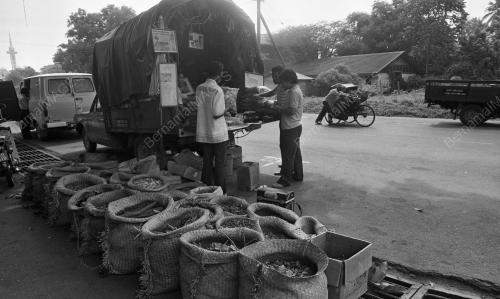 TG17_13012015_PERUBATAN_TRADISIONAL