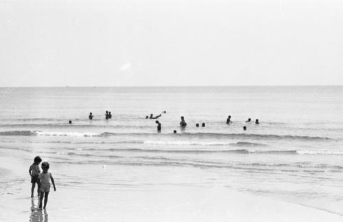 TG17_14012015_PESTA_PANTAI