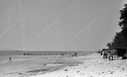 TG22_14012015_PESTA_PANTAI