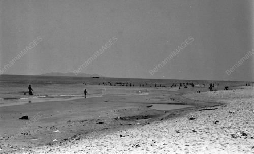 TG23_14012015_PESTA_PANTAI
