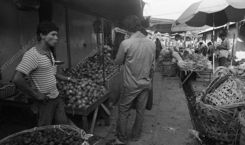 TG23_22012015_PASAR_BESAR