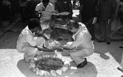 TG24_14072015_KESIHATAN