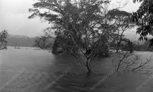 TG27_24022015_SELAMAT_HAIWAN