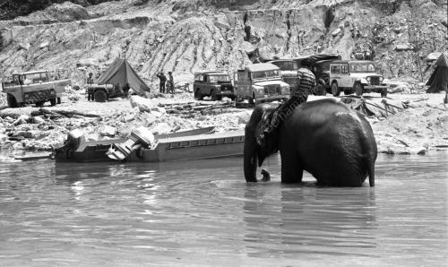 TG28_19032015_GAJAH_LIAR