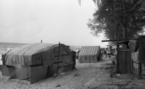TG34_14012015_PESTA_PANTAI