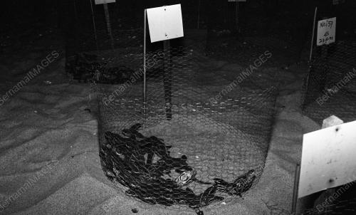 TG34_22012015_PENYU