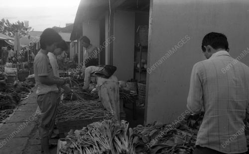TG38_22012015_PASAR_BESAR