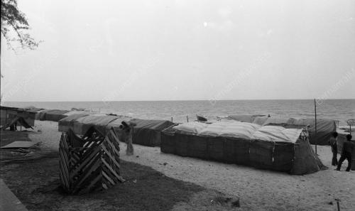 TG39_14012015_PESTA_PANTAI