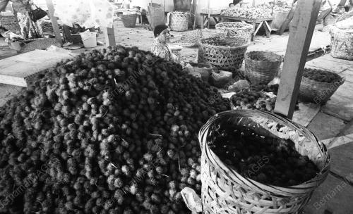 TG39_22012015_PASAR_BESAR