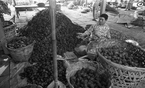 TG40_22012015_PASAR_BESAR