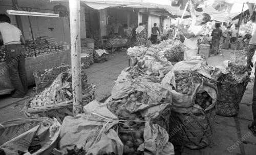 TG42_22012015_PASAR_BESAR