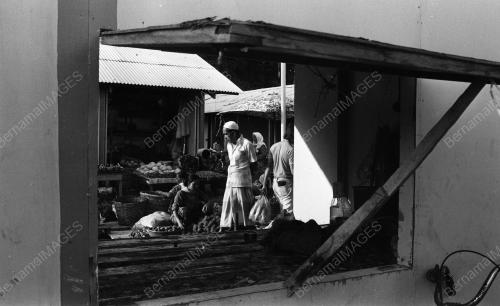 TG43_22012015_PASAR_BESAR