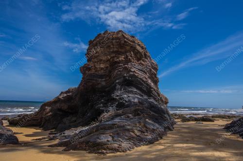 TG44_08062018_LANDSCAPE