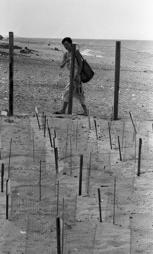 TG44_22012015_PENYU