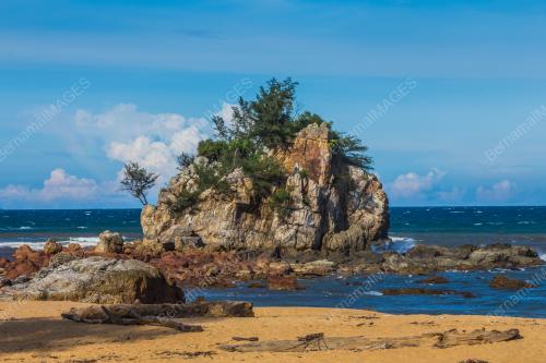 TG49_08062018_LANDSCAPE