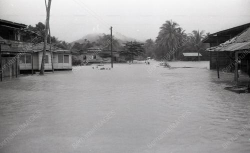 DISEMBER 1982