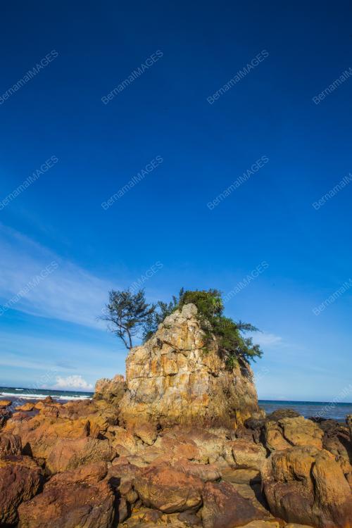 TG62_08062018_LANDSCAPE
