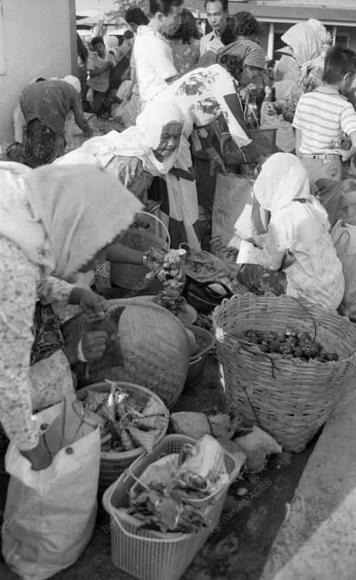 TG66_22012015_PASAR_BESAR