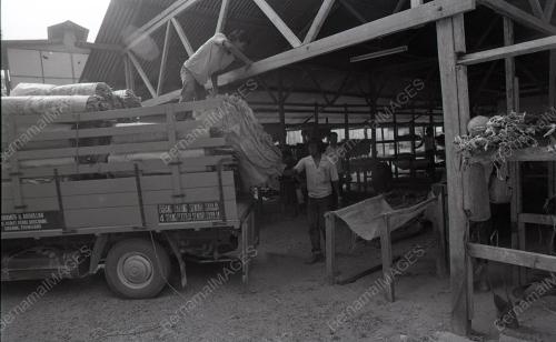 TG72_13012015_RENCANA_TEMBAKAU