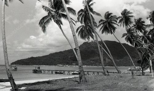 TG94_08012015_PM_TERENGGANU