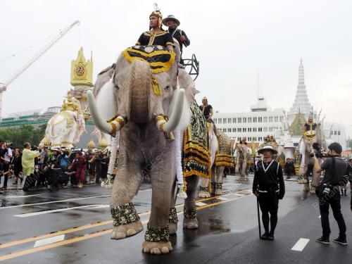 TH03_08112016_MANGKAT_GAJAH