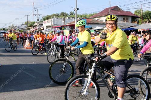 TH04_17032015_KAYUHAN_MAIPS
