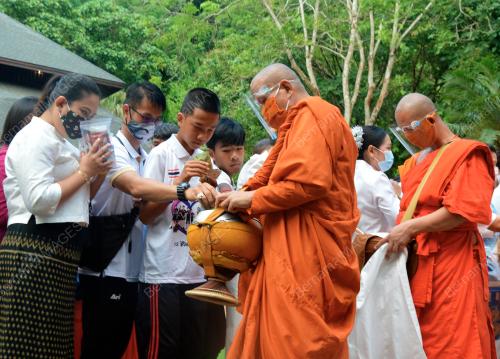 THAILAND'S WILLD BOARS