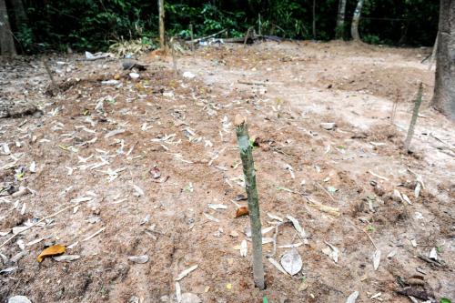 THA01_31052015_ROHINGYA
