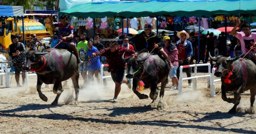 BUFFALO_RACING