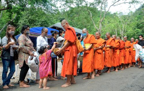THAILAND'S WILLD BOARS