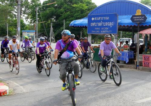 THA03_10042015_KAYUHAN_SATUN
