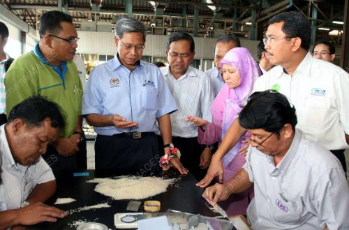 MUSTAPA MOHAMED