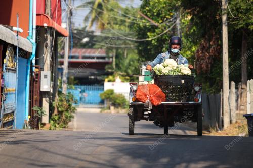 MAESOT