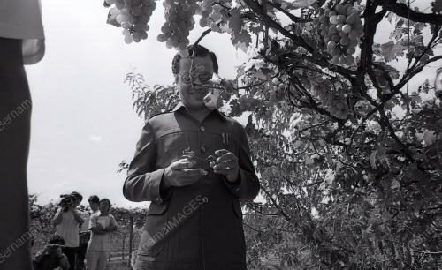 MAHATHIR MOHAMAD