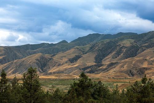 TUGU MAHTUMKULU FIRAKI