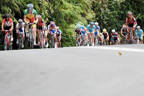 TOB04_21082013_BORNEO