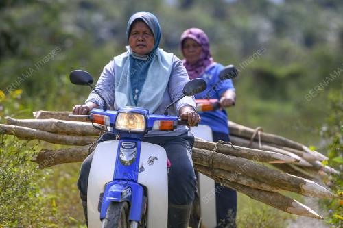 KUDRAT WARGA EMAS