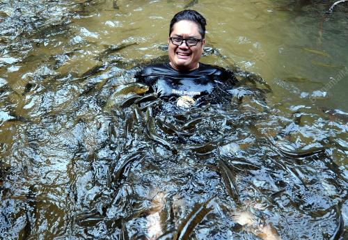 TR01_01042017_IKAN_KELAH