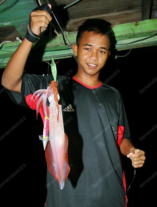 SOTONG