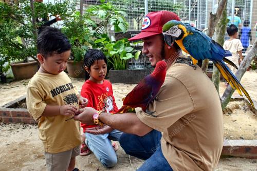 ZOO RIMBA RAZIA