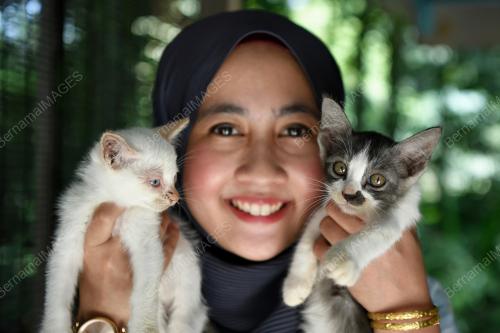 TAMAN KUCING DUNGUN