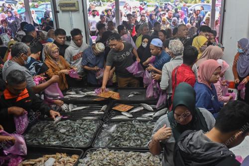 JUALAN MURAH IKAN SIAKAP