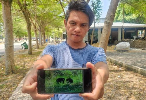 BERUANG MATAHARI