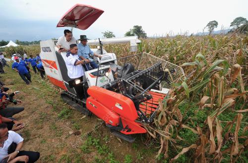 TR01_05072017_SHABERY_JAGUNG_BN201707038297