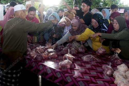 DAGING MURAH